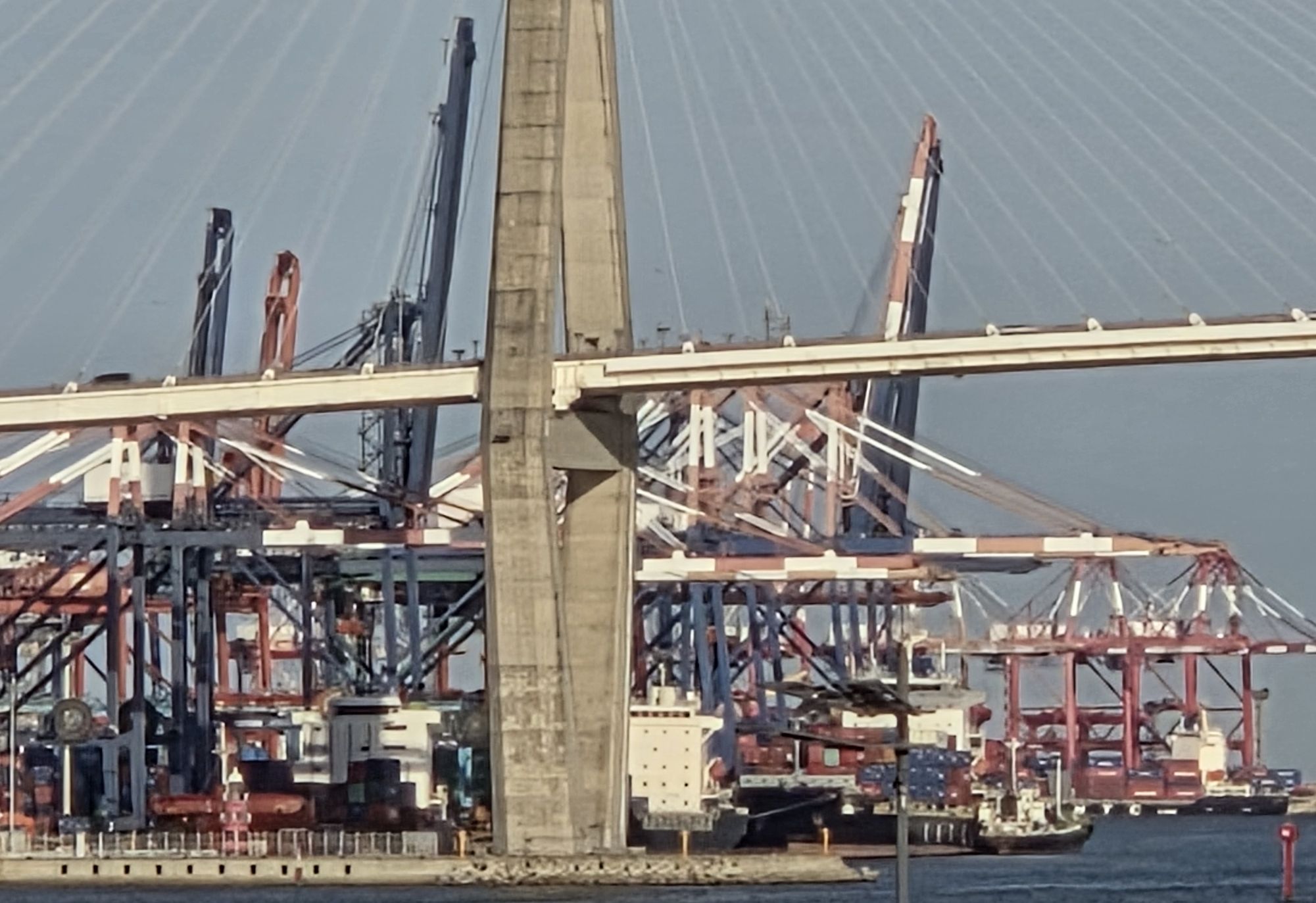 Container terminal and gantry cranes at the Port of Busan